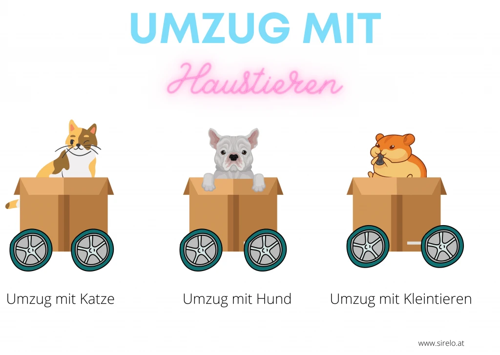 Umzug mit Haustieren
